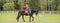 Young sportswoman riding horse in equestrian show jumps competition. Teenage girl ride a horse