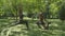 Young sportswomen stretching in park