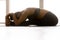 Young sporty attractive woman practicing yoga, paschimottanasana