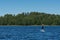 A young sporty blonde woman in the wetsuit is spending her time, surfing on the sup board on the forest lake on bright summer day