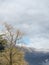 Young spring and snow on the montain in the horizon