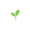 Young sprout green vector icon.