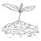 Young sprout planted in the ground icon. Vector illustration of planting plants in spring. Hand drawn