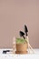 Young sprouts potted in pot, seeds peas, gardening equipment, lettering on wood cubes - Earth day on white wood table and beige.