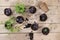 Young sprouts of seedlings in peat biodegradable pots and care tools, transplant basil, rucolla, parsley and mint on a bright