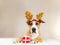 Young staffordshire terrier dog in christmas reindeer horns hat with cute little red present