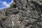 Young strong man climber hangs on a cliff or rock wall. Climbing,  mountaineering concept