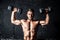 Young strong sweaty man shoulders workout training with two dumbbells in the gym dark image with shadows