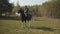 A young student of an equestrian riding school trains in an open-air paddock, riding a spotted horse. In slowmotion