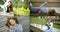 Young student girl is resting in park area with book and smartphone, collage of four shots