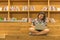 Young student girl using laptop near well decorated library bookshelf