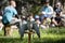 Young Students in Lesson on Falcons at Castle of Vezio_ Lake Com