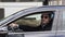 Young stylish man in black sunglasses driving a car.