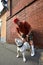 Young stylishly dressed man with two american bully dogs on city streets