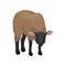 Young suffolk sheep. Farm animal with thick brown wool. Domestic creature. Livestock farming theme. Flat vector icon