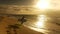 Young surfer on the beach waiting for perfect waves