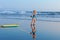 Young surfer girl with bodyboard walks along beach sea surf