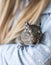 Young teen girl holding small animal chilean common degu squirrel. Close-up portrait of the cute pet in kid`s arms