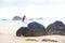 Young teen girl leaning on large rock by ocean, thinking