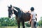 Young teenage girl equestrian cleaning her chestnut horse after shower