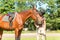 Young teenage girl equestrian kissing her favorite chestnut horse