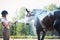 Young teenage girl equestrian washing her brown horse in shower