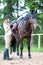 Young teenage girl owner with her stallion waiting for training