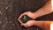 Young teenager hands planting seedlings