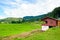 Young terrace rice plantation