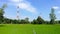 Young terrace rice plantation in a bright day