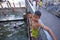 Young Thai boys enjoy diving in a Bangkok canal near the Chao Phraya river, at the end of the day