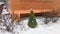 A young thuja grows near the wall of a red brick residential building. In winter, for the Christmas holiday, it was decorated with
