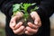 young tomato plant in soiled human hands, hands is holding young plant with soil
