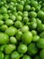 young tomatoes intended for green sauce