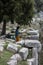 Young tourist boy with camera explore the ancient abandoned Pisidian city Termessos in Turkey