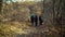 Young tourists hiking in beautiful autumn forest