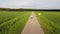 Young traveler discovers the beauty of the Netherlands on roller skates