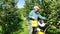 Young travelers pick fresh cherries from tree during working holiday