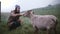 Young traveling woman feeding the mountain sheep at the field in Iceland. Female enjoying the nature with wild animal.