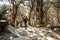 Young traveller trekking on forest trail , Nepal