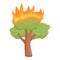 Young tree burning icon, cartoon style