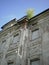 Young tree on old deserted building roof. Never give up!
