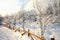 Young trees grow in the snow along a wooden fence road,
