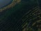 Young trees, plantations on the slopes. Top down Aerial view on the Dniester Canyon, River, Bakota Bay in National Park Podilski