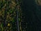 Young trees, plantations on the slopes. Top down Aerial view on the Dniester Canyon, River, Bakota Bay in National Park Podilski