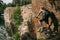 young trial biker with bicycle standing on cliff and looking