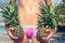 Young tropical woman body close up with pineapple. Fitness body lady on the beach. Bali island.