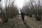 A young truffle dog in a hazel grove of the Langhe, Piedmony - Italy