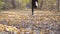 Young unrecognizable man runs at autumnal forest path. Guy jogs on colored fallen leaves. Athlete is training at wood