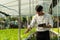 A young vegetable gardener inspects green acorns and lettuce at the greenhouse farm.